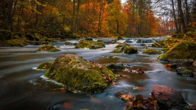 Beautiful Autumn River Landscape Wallpaper HD 4K - Aesthetic Nature Scene