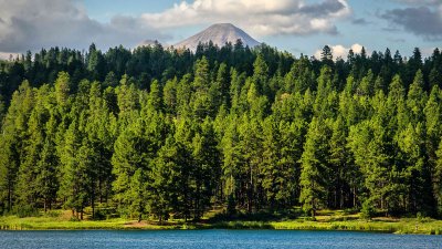 Majestic Mountain and Forest Lake Landscape Wallpaper HD 4K Aesthetic