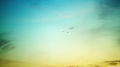Minimalist Aesthetic Sky with Flying Birds Wallpaper HD 4K Background