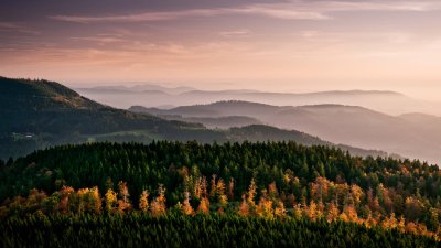 Aesthetic Autumn Forest Mountains Sunset Landscape Wallpaper HD 4K