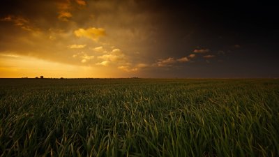 Dramatic Sunset Green Field Wallpaper HD 4K Aesthetic Nature
