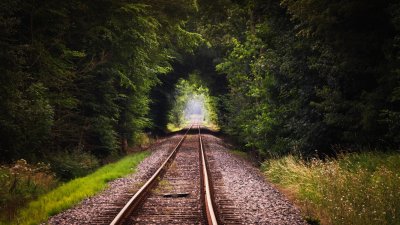 Aesthetic Forest Railway Wallpaper HD 4K - Peaceful Nature Journey