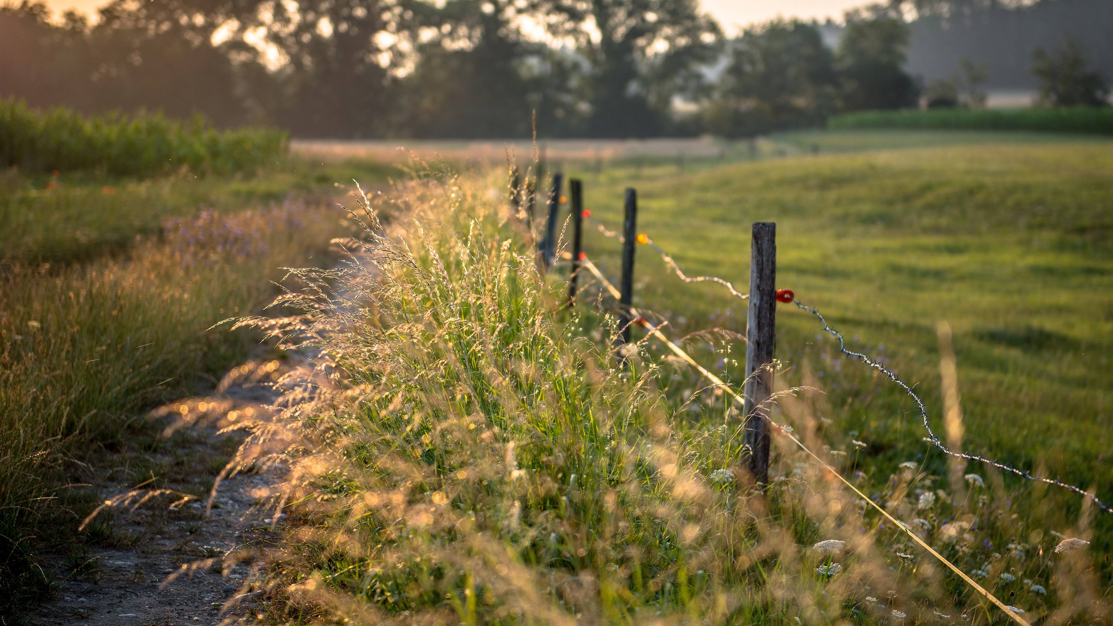 Rustic Countryside Fence at Sunset Wallpaper HD 4K Aesthetic Nature