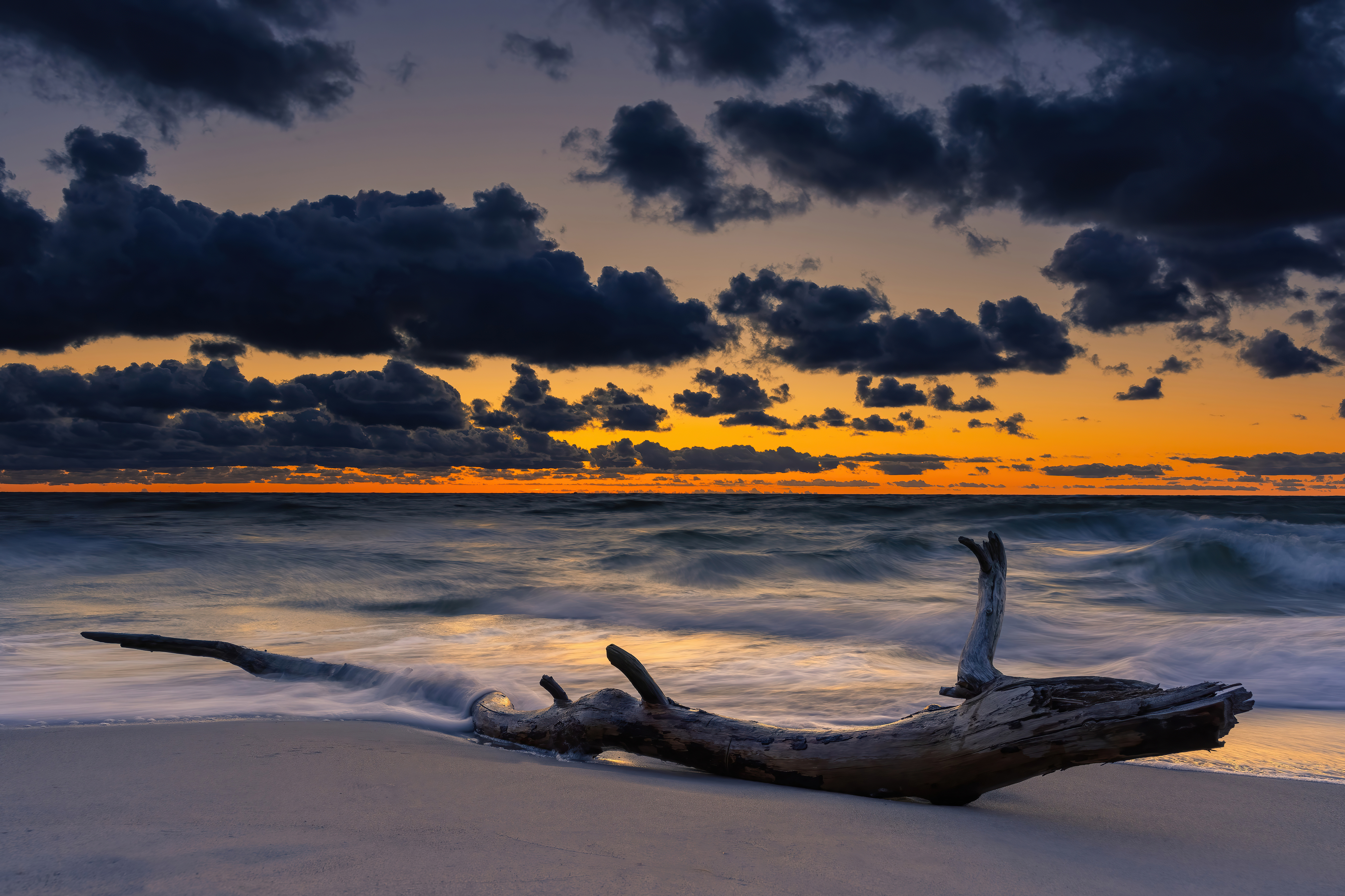 Dramatic Beach Sunset Wallpaper HD 4K Aesthetic Driftwood Seascape