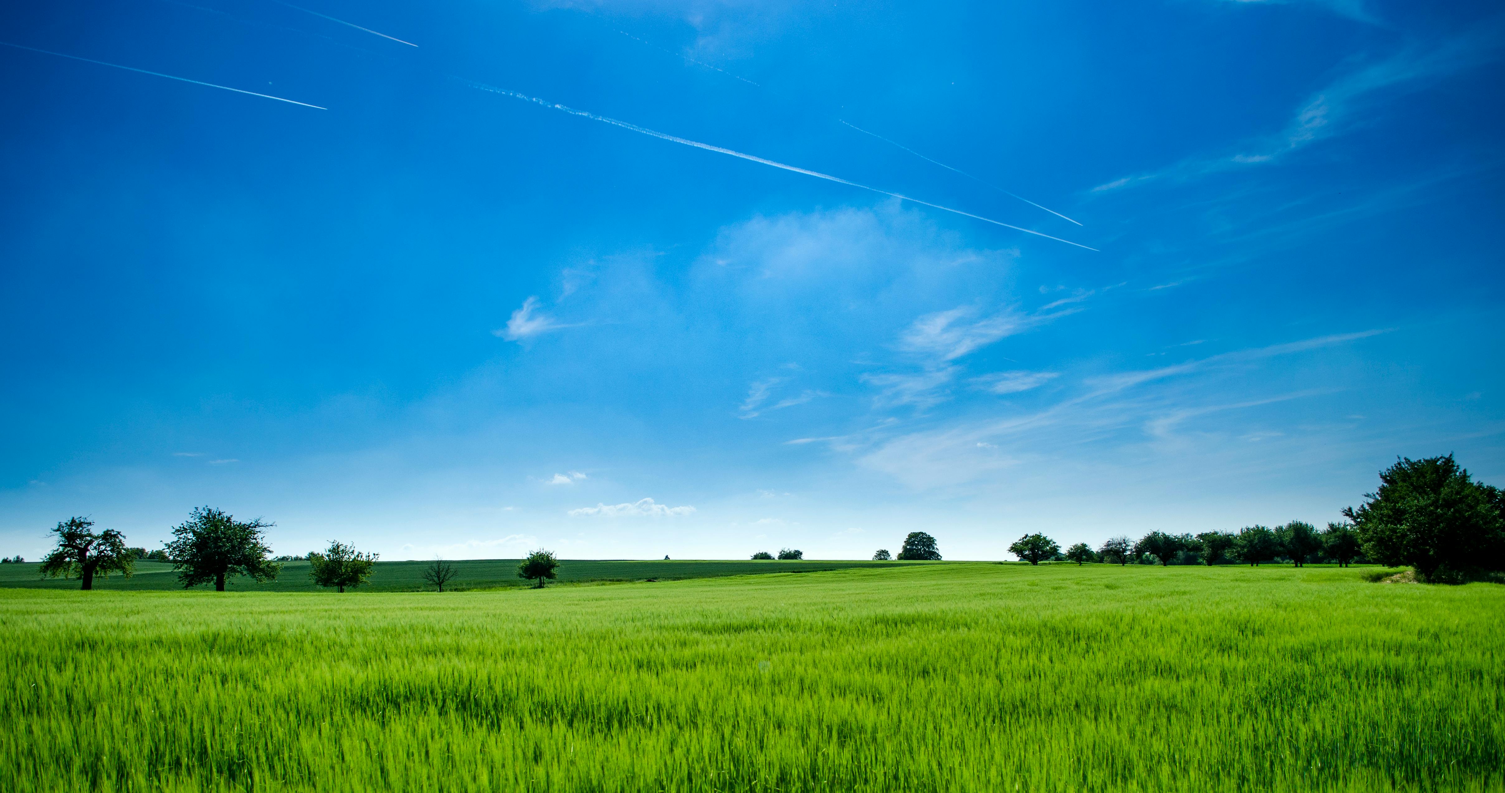 Beautiful Green Field Landscape Wallpaper HD 4K Aesthetic Blue Sky