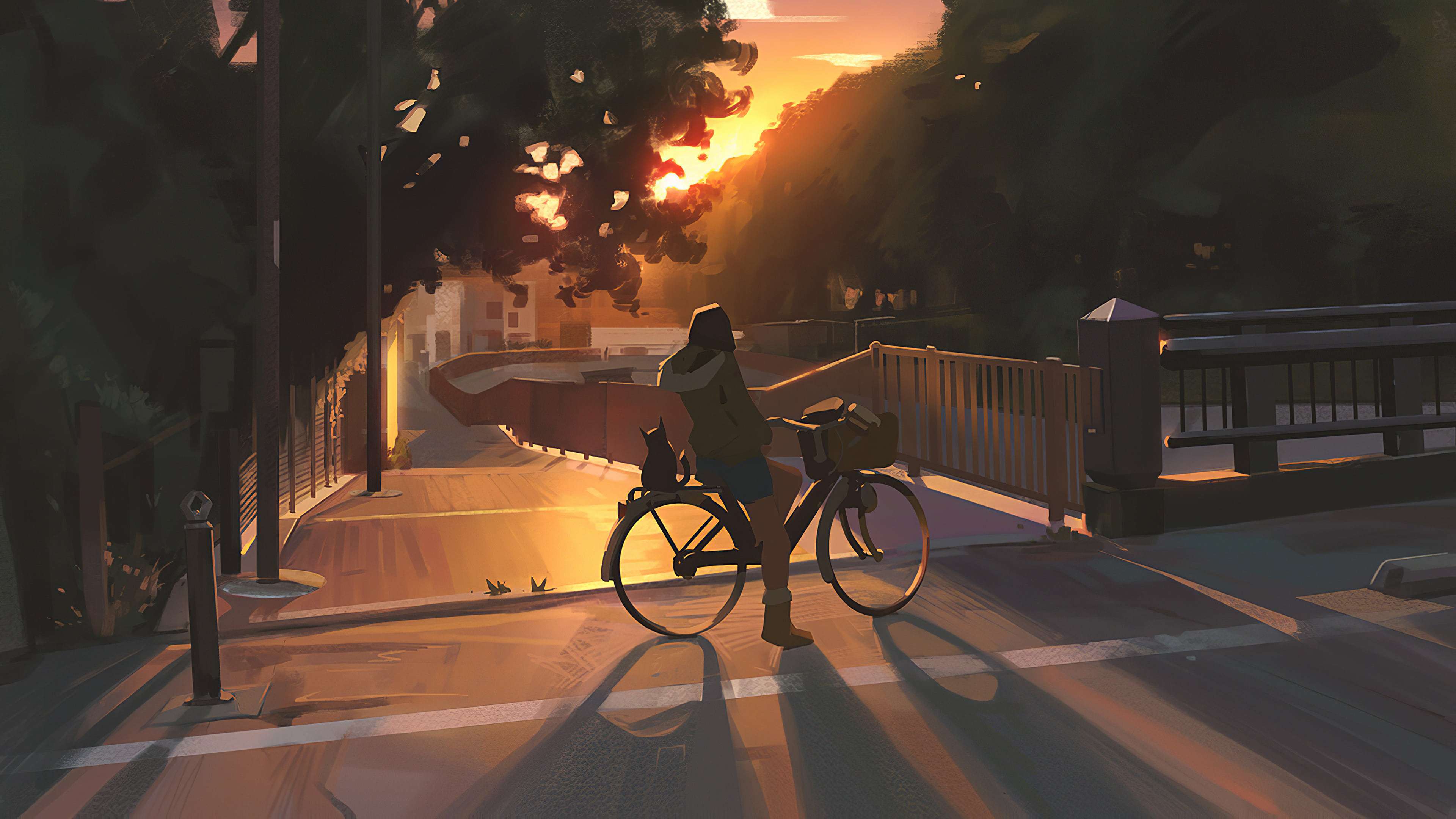 Cozy Aesthetic Anime Girl on Bicycle at Sunset Wallpaper HD 4K