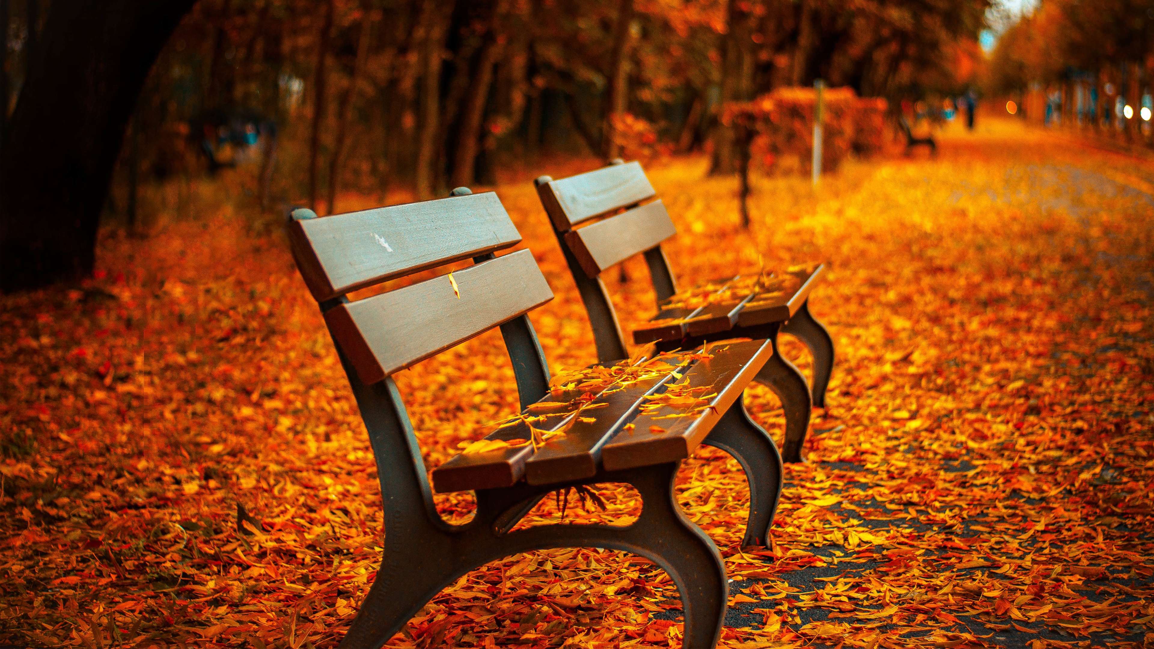 Autumn Park Bench Wallpaper HD 4K - Aesthetic Fall Landscape Background